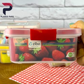 ظرف فریزری گاپانا 650 مستطیل - Image 2