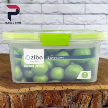 ظرف فریزری مستطیل 2 لیتر گاپانا زیبا