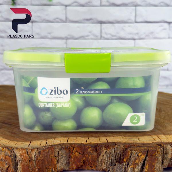 ظرف فریزری مستطیل 2 لیتر گاپانا زیبا