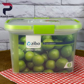 ظرف فریزری گاپانا مستطیل 3 لیتر زیبا - Image 6