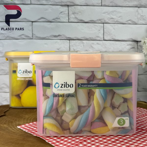 ظرف فریزری گاپانا مستطیل 3 لیتر زیبا