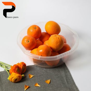لگن گرد لیزا شفاف 2 گلد
