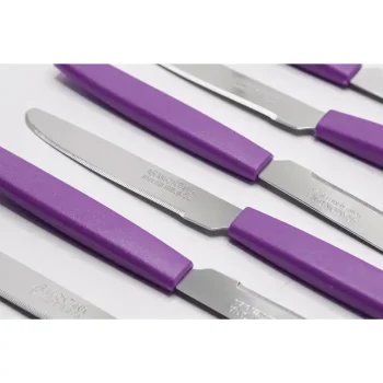 چاقو میوه خوری 12عددی آرمونتینا - Image 10