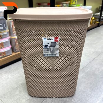 سبدرخت بلند دربدار هرمس زیبا - Image 4