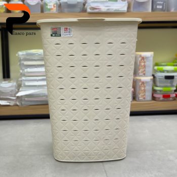 سبدرخت دربدار بلند گاباردین زیبا