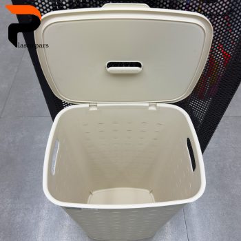 سبدرخت دربدار بلند گاباردین زیبا - Image 3