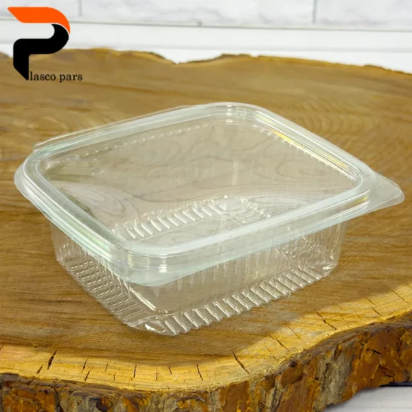 ظرف سالاد 10 عددی