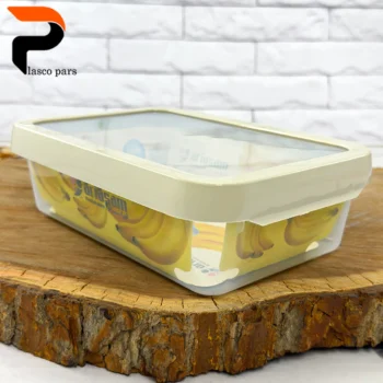 ظرف فریزری 3 لیتری آریسام - Image 2