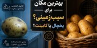 بهترین مکان برای نگهداری سیب زمینی