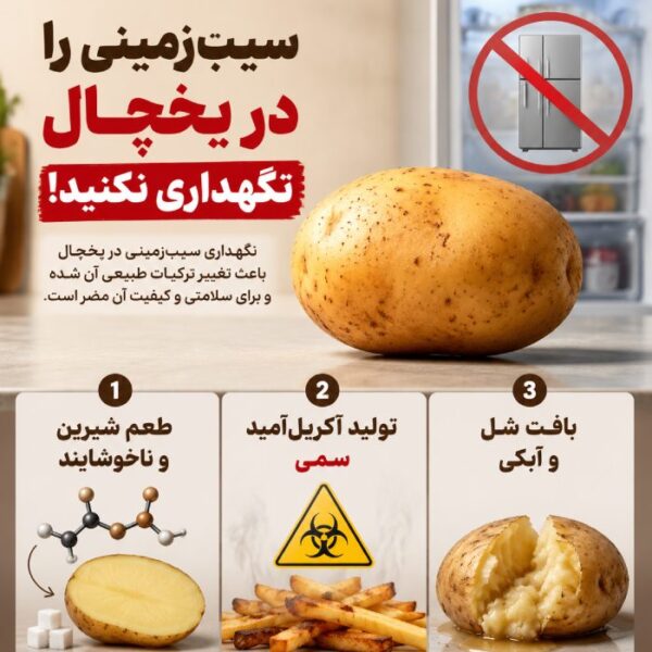 بهترین مکان برای سیب زمینی؛ یخچال یا کابینت؟ بررسی تخصصی 2 نگهداری سیب زمینی در یخچال